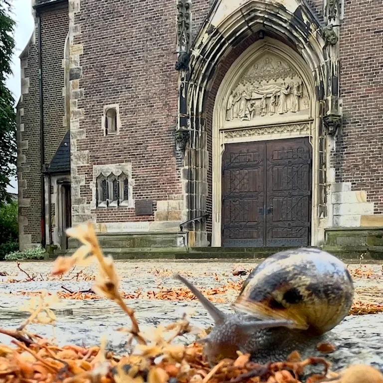 Schnecke an der Ludgerikirche