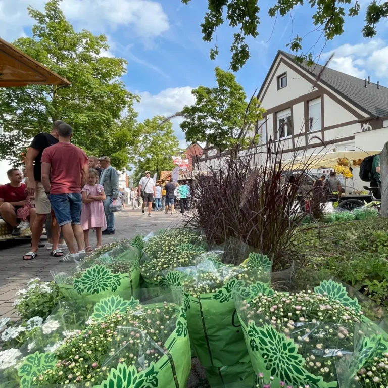 Stephanus Fest mit Holland-Markt in Bork