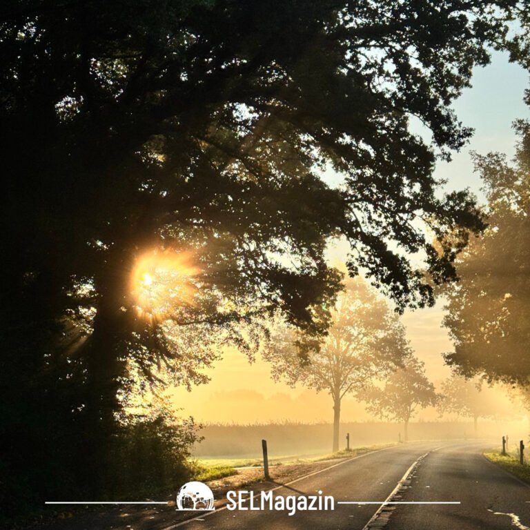 Morgennebel Selm