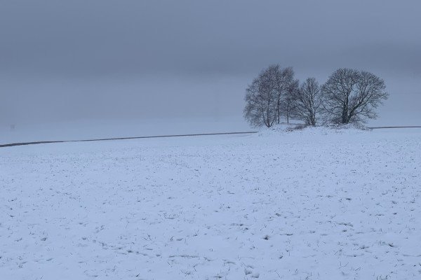 Gedicht: Weihnachten hier und dort