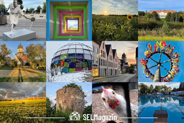 Collage Fotos der Woche