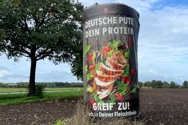 Alltagsspuren: Von Puten, Pilzen und Proteinen