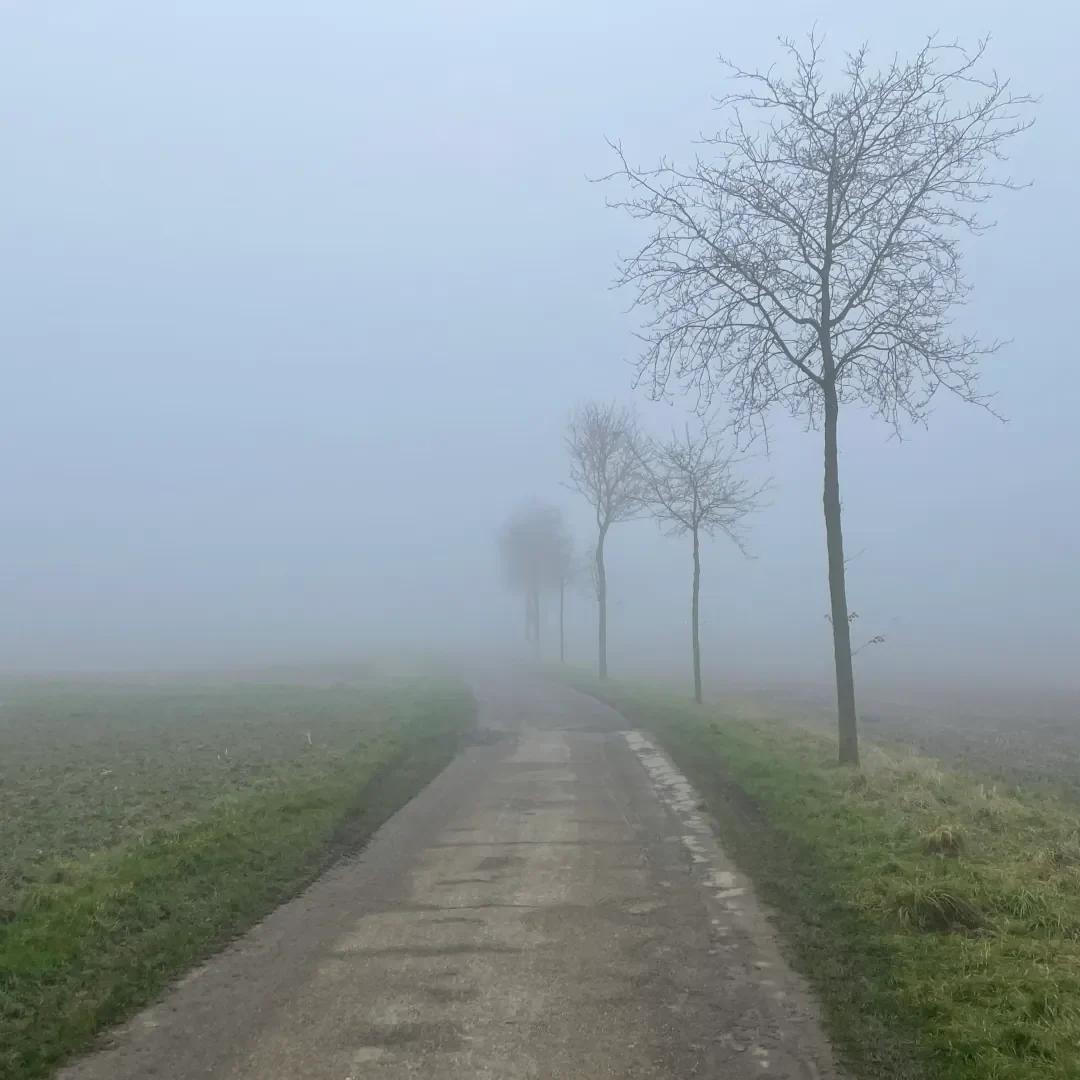 FdW 2025 KW 03 Foto der Woche 3/25: Gespenstische Stimmung am Buxfort in Selm