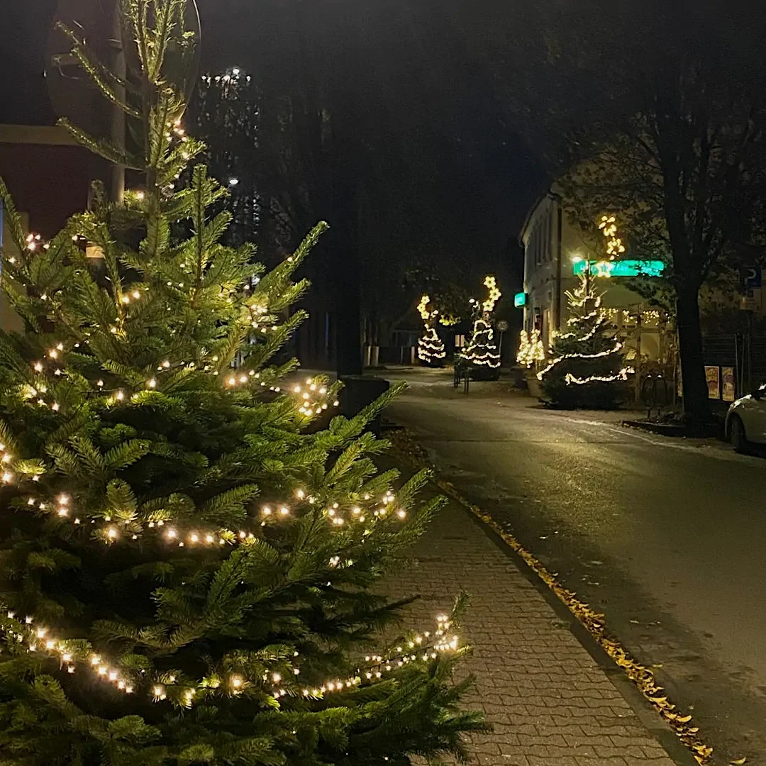 Foto der Woche KW 46 - Adventsbeleuchtung Selmer Altstadt